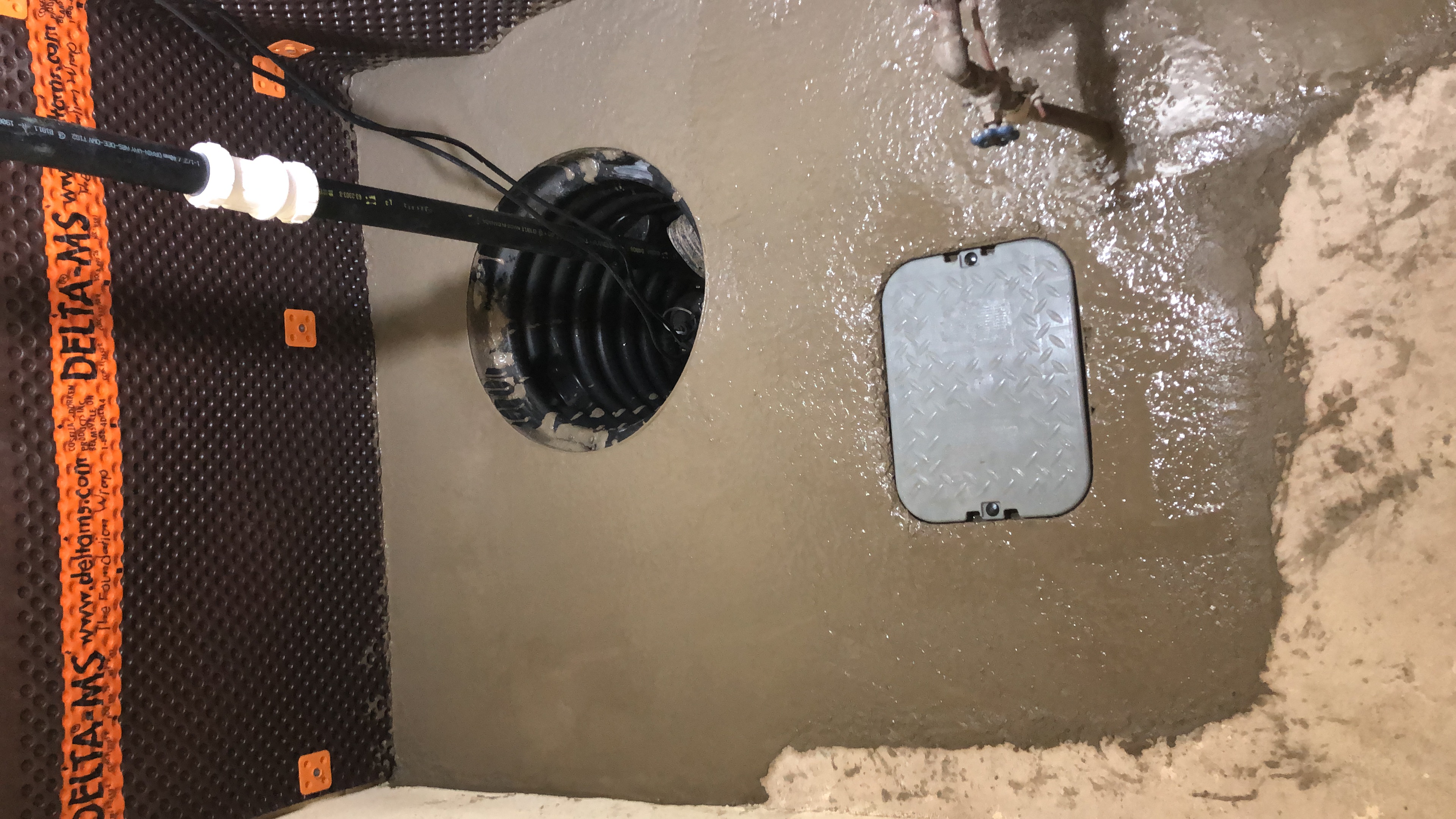 Sump pump and backflow preventer