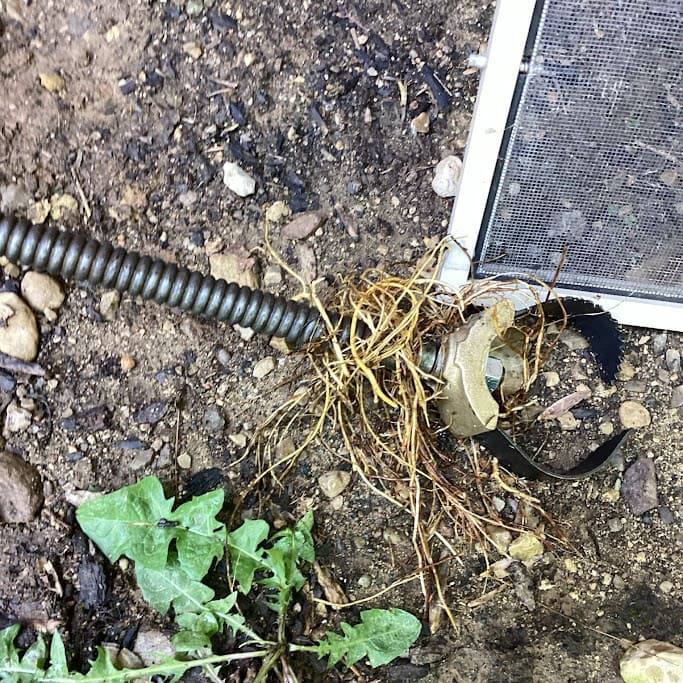 Clogged sewer line before and after mechanical snaking demonstrating complete blockage clearance