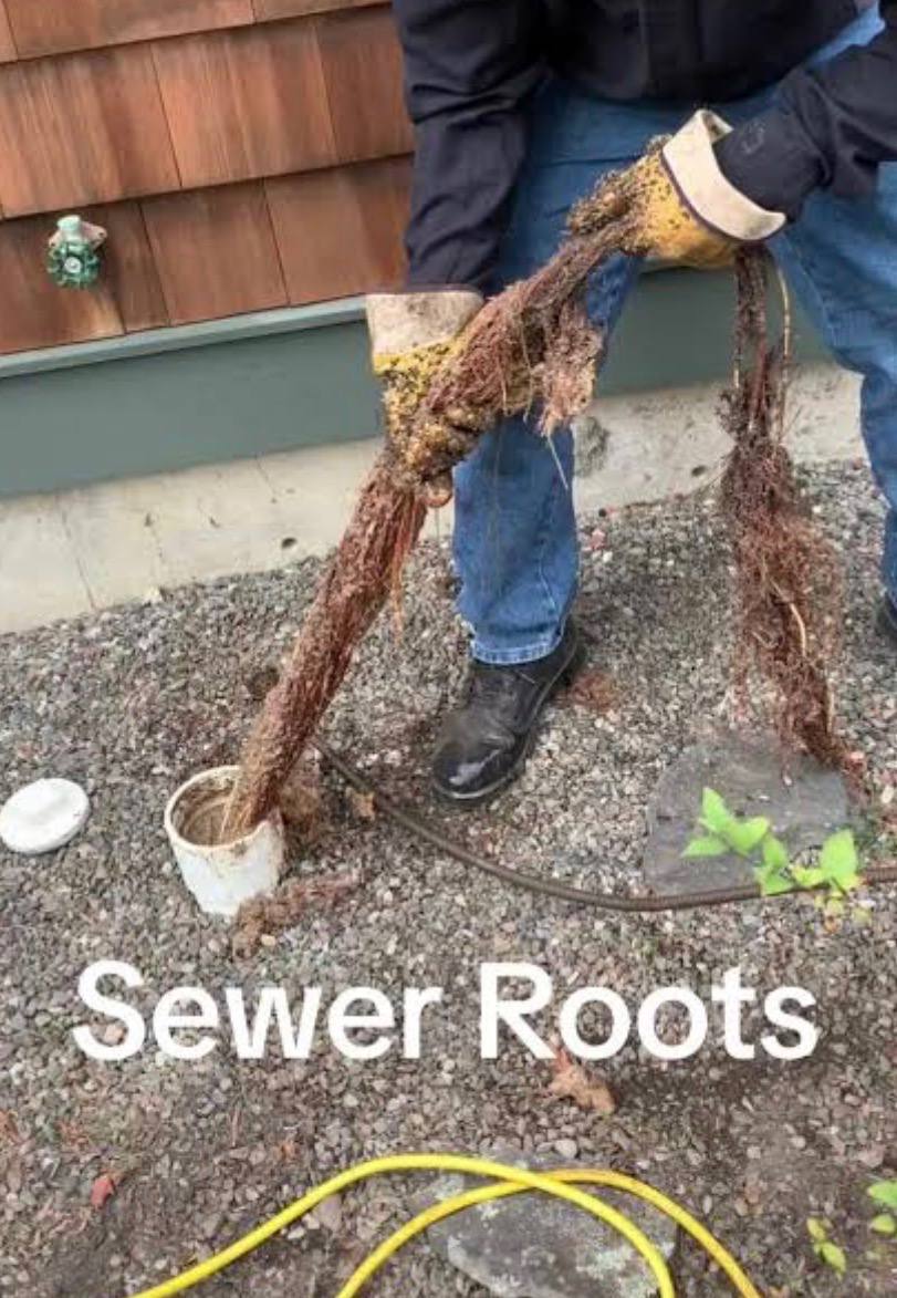 Tree root infiltration before and after electric eel treatment showing restored pipe interior