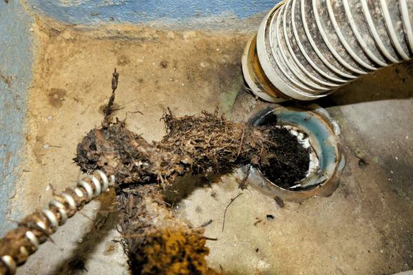 Main sewer line before and after electric eel cleaning showing dramatic improvement in flow