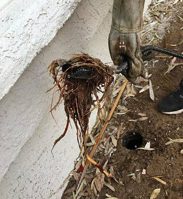 Bathroom drain before and after electric eel service showing hair and soap scum removal